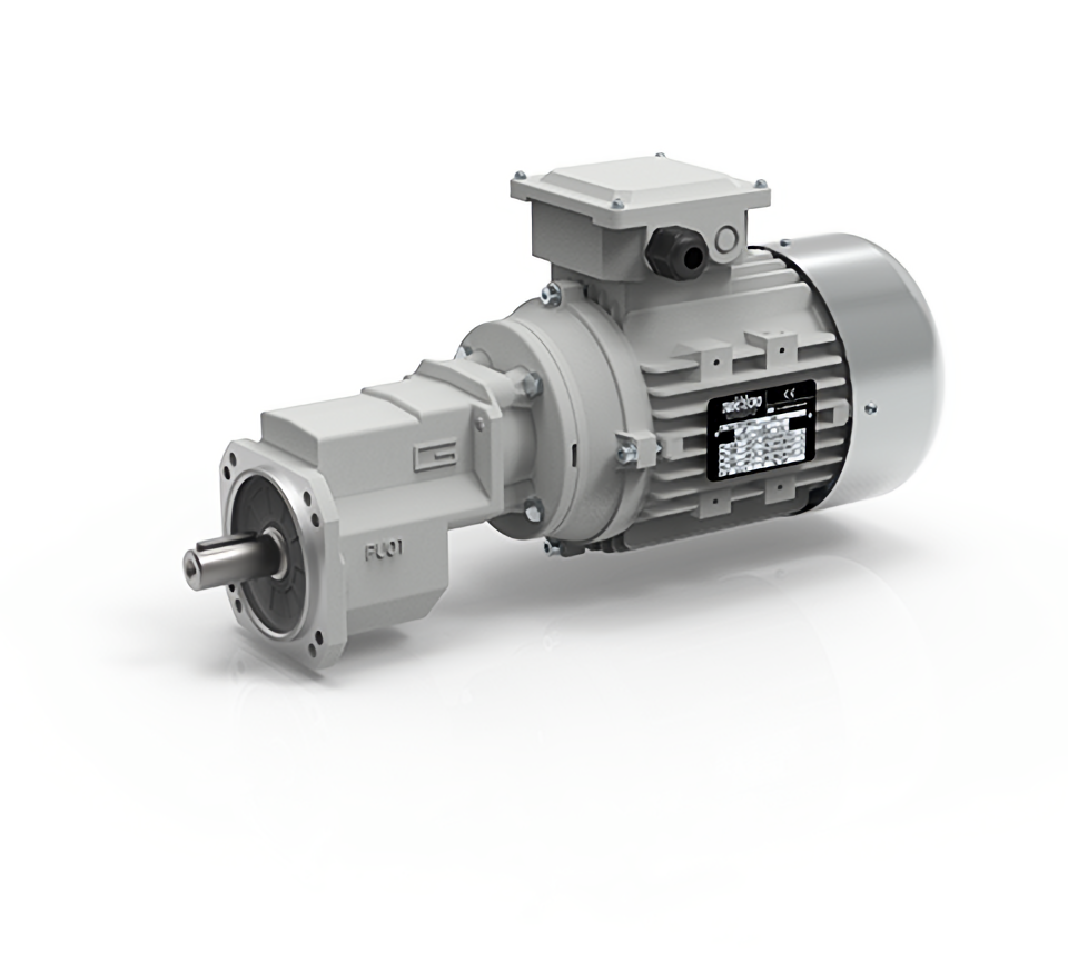 Worm Gearmotor PU